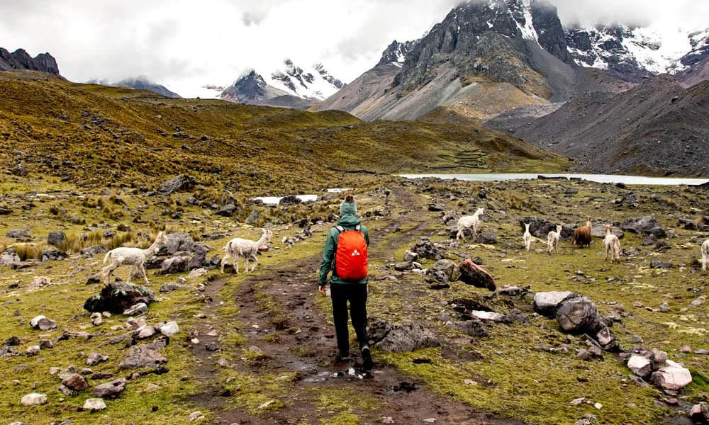 Tour 7 Lagunas Ausangate / full day