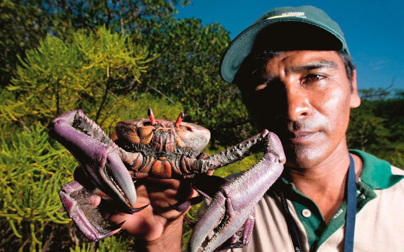 ¿Cómo llegar a los Manglares desde Lima?