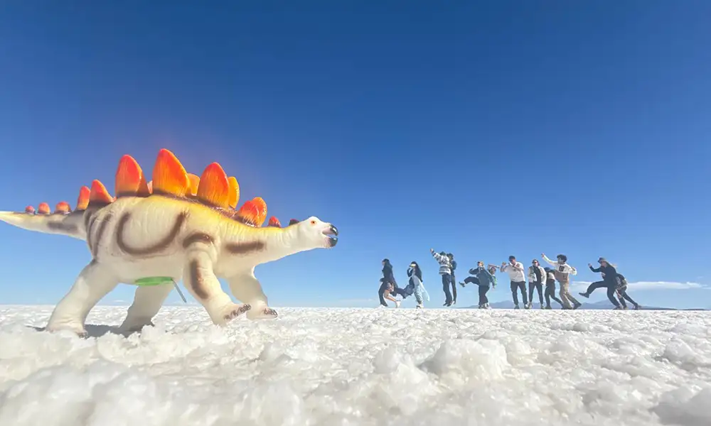 Tour Salar de Uyuni 3 Días / 2 Noches