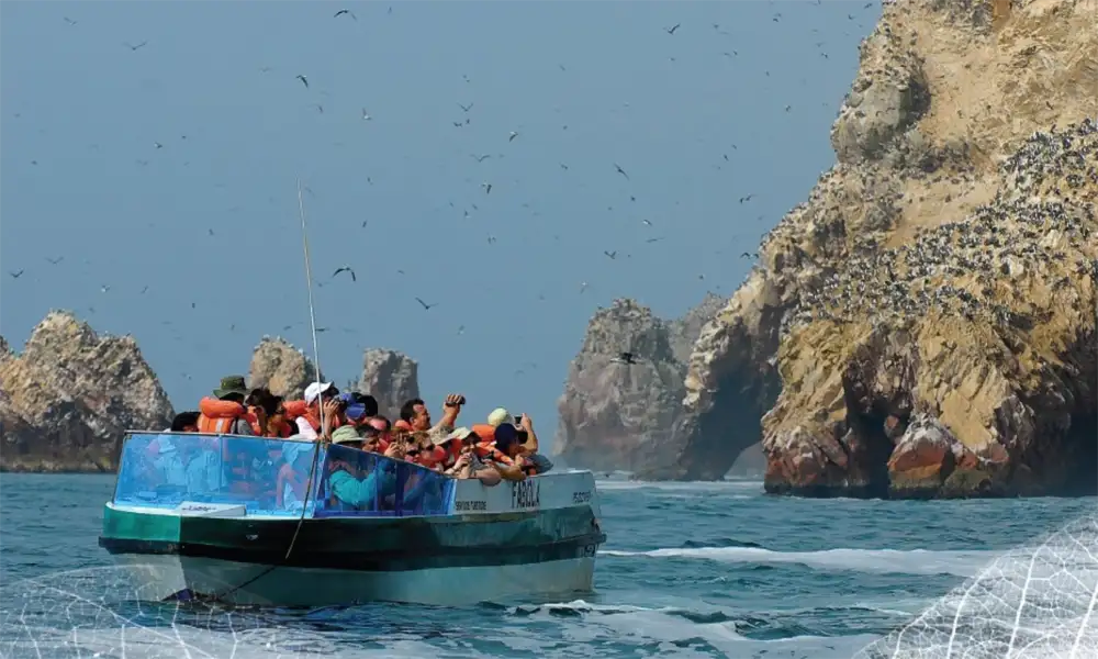 Ballestas Islands and Huacachina Tour from Lima