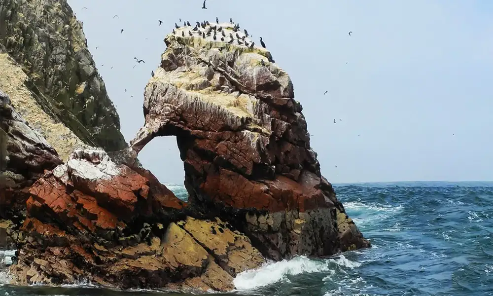 Tour Ica – Huacachina – Islas Ballestas – Reserva de Paracas