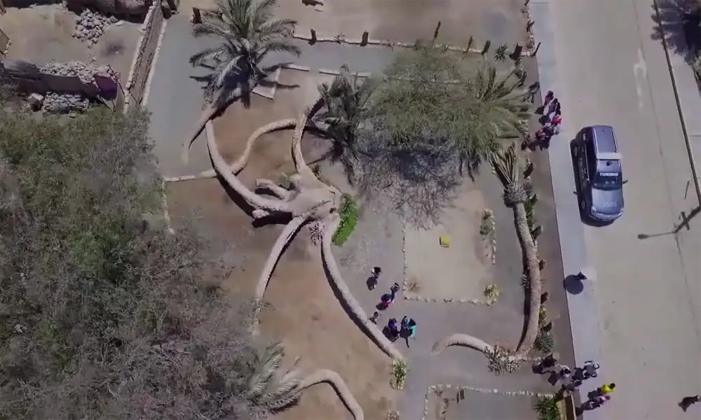 Ica & Cañón de los Perdidos 2 D/ 1N