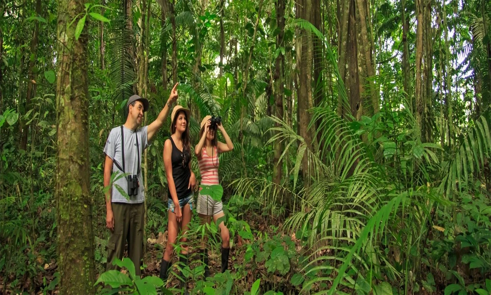 Lago Sandoval: Trekking y Aventura Amazónica
