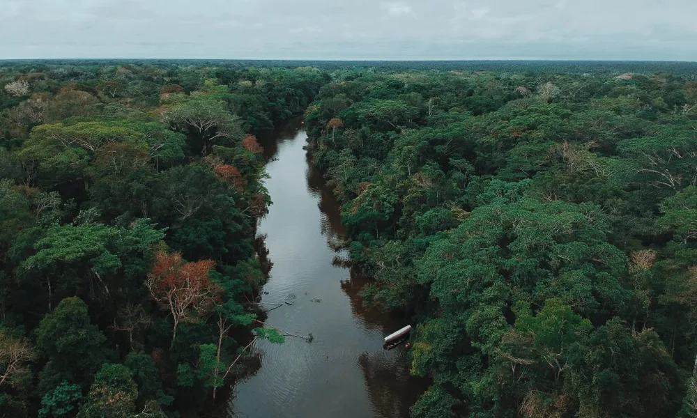 Full Day Reserva Nacional Pacaya Samiria