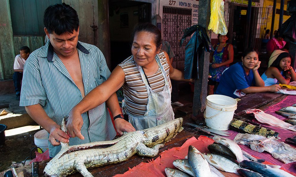 Tour Mercado de Belén – Iquitos