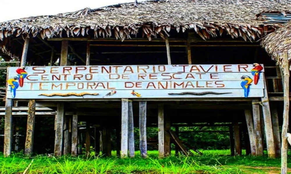 City Tour Iquitos | Historia Viva, Cultura Amazónica