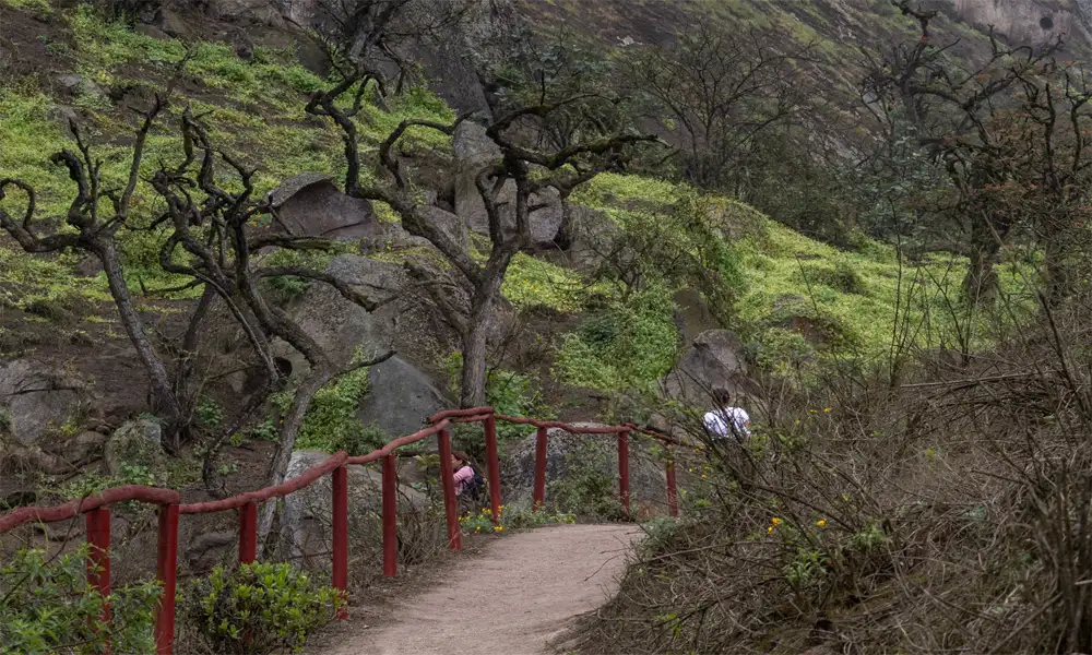 Full Day Tour of Lachay Hills and Chancay Castle