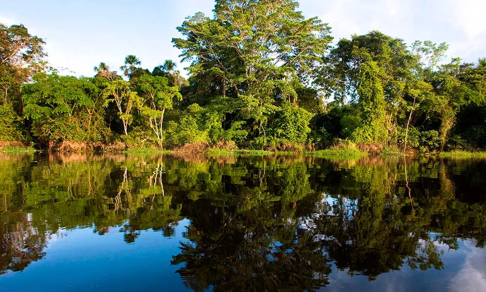 Amazônia 3D/2N | Selva + Lago Sandoval + Caminhada na copa das árvores e caminhada noturna
