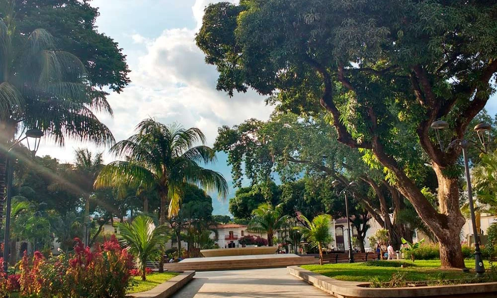 Aventura en Cuatrimoto por la Selva de Quillabamba