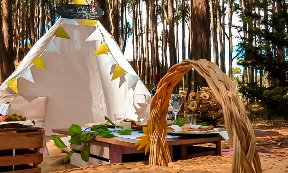 Picnic in the eucalyptus forest in Cusco