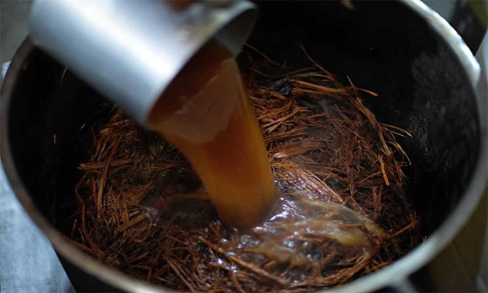 Ayahuasca Ceremony Tour in Cusco | 1-Day Spiritual Healing