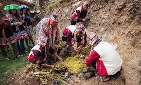 Pachamanca Tour in the Sacred Valley I A Gastronomic Journey