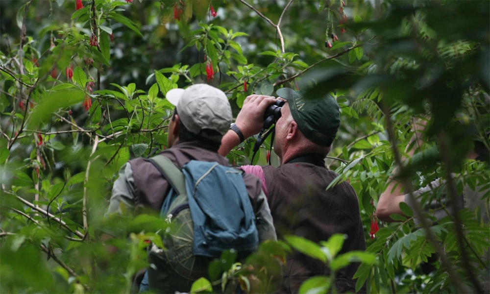 Sandoval Lake: Trekking and Amazonian Adventure