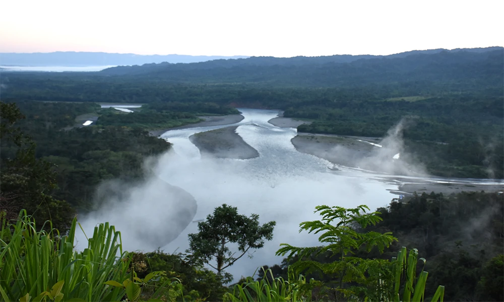 Explore the Manu Wildlife Route | 5D