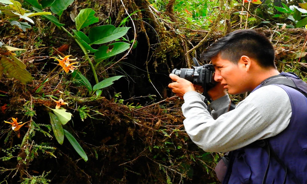 Expedición Delfines & Selva/ 2 Días en Tamshiyacu‑Tahuayo