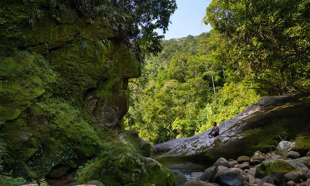 Expedición Delfines & Selva/ 2 Días en Tamshiyacu‑Tahuayo