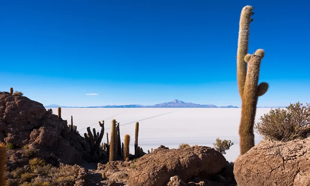 Ruta de los Salares