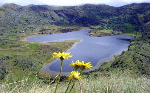 Tour 284 Lagunas de alto Perú | Aventura y belleza natural