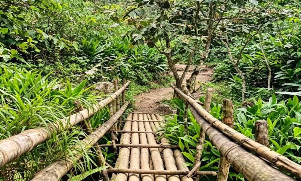 Caminhada pelo Alto Shilcayo | Cachoeira do Vestido de Noiva
