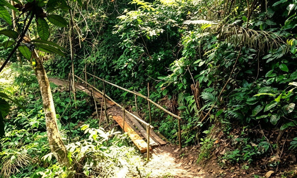 Caminhada pelo Alto Shilcayo | Cachoeira do Vestido de Noiva