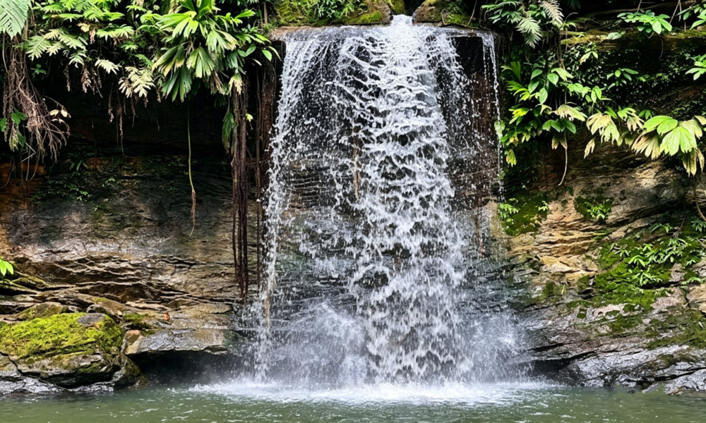 Passeio à Cachoeira de Carpishuyacu | Banhos Termais