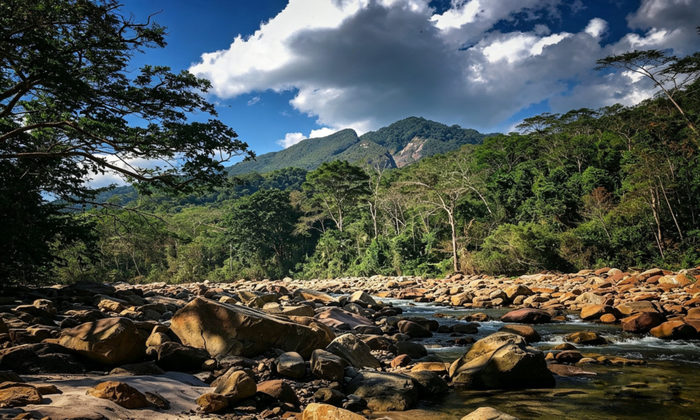 Huacamaillo Waterfall Tour | Picnic Lunch | Tarapoto