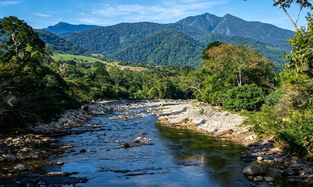 Huacamaillo Waterfall Tour | Picnic Lunch | Tarapoto