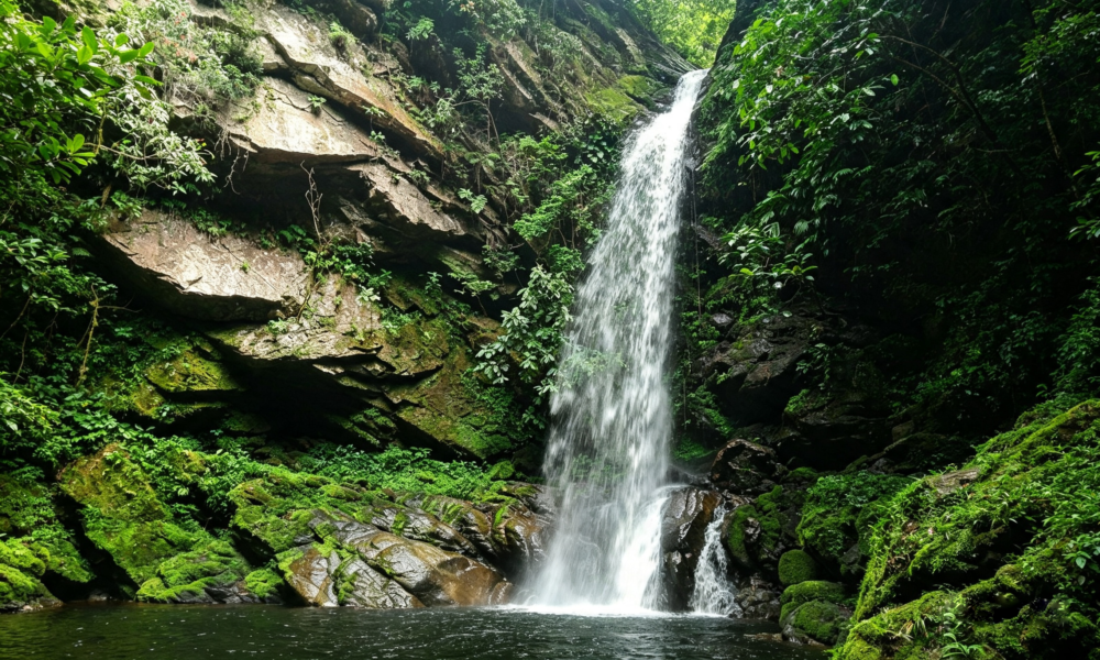 Huacamaillo Waterfall Tour | Picnic Lunch | Tarapoto