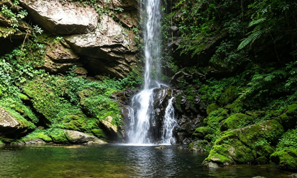 Huacamaillo Waterfall Tour | Picnic Lunch | Tarapoto