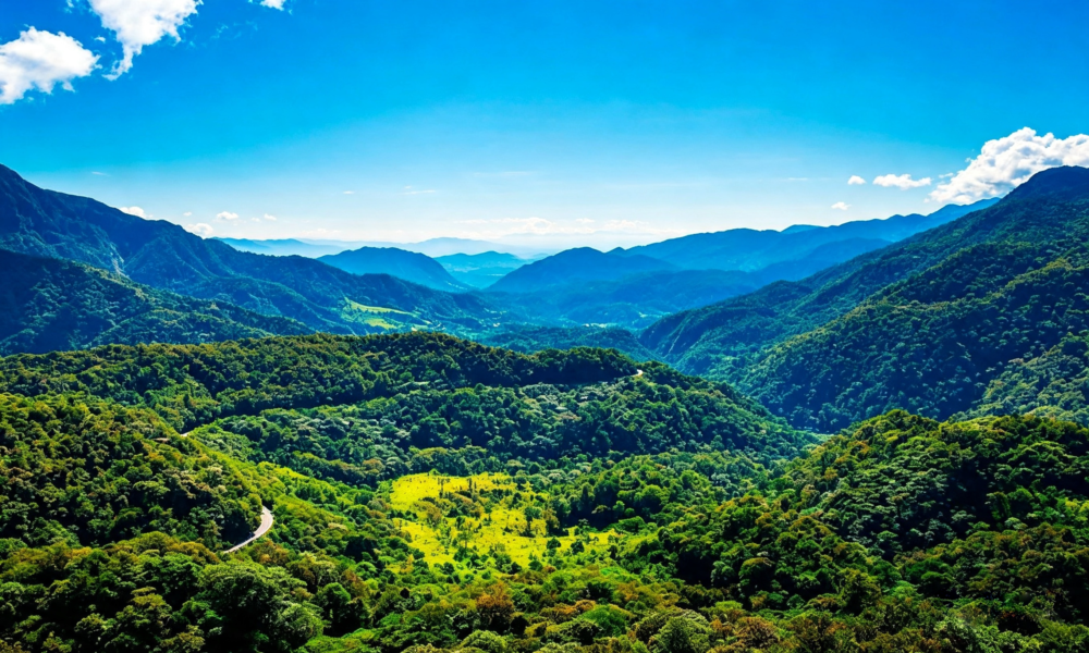 Tarapoto + Chachapoyas 9 dias/8 noites | Cidade das Orquídeas