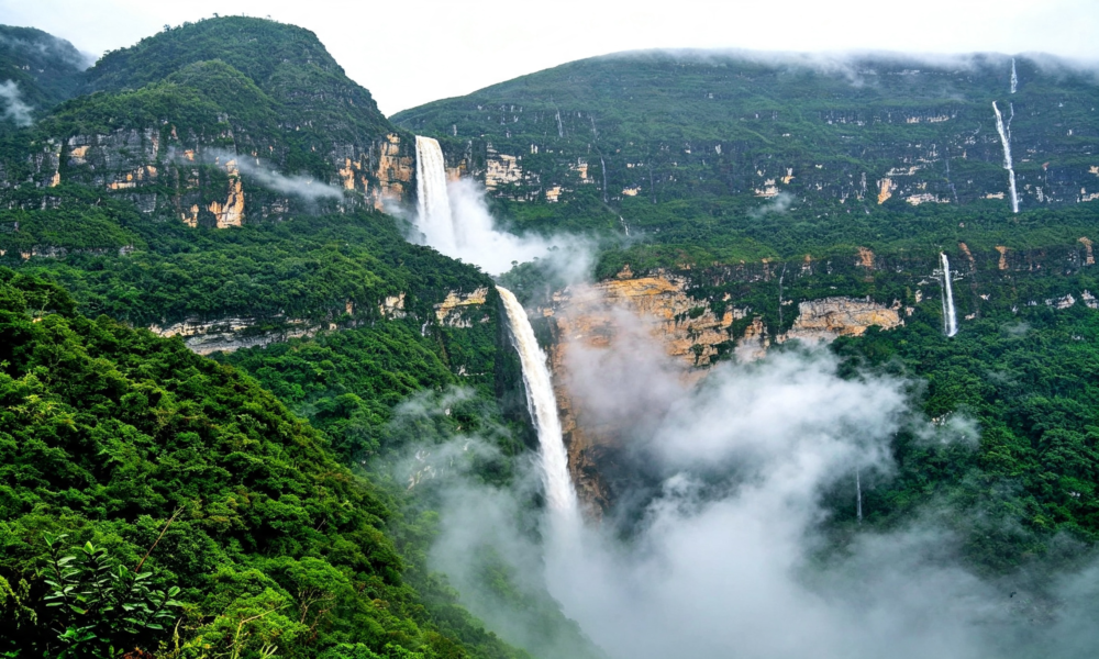 Passeio pela Floresta de Tarapoto + Chachapoyas | 6 dias e 5 noites