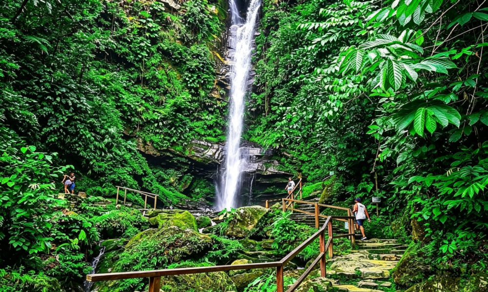 Passeio pela Floresta de Tarapoto + Chachapoyas | 6 dias e 5 noites