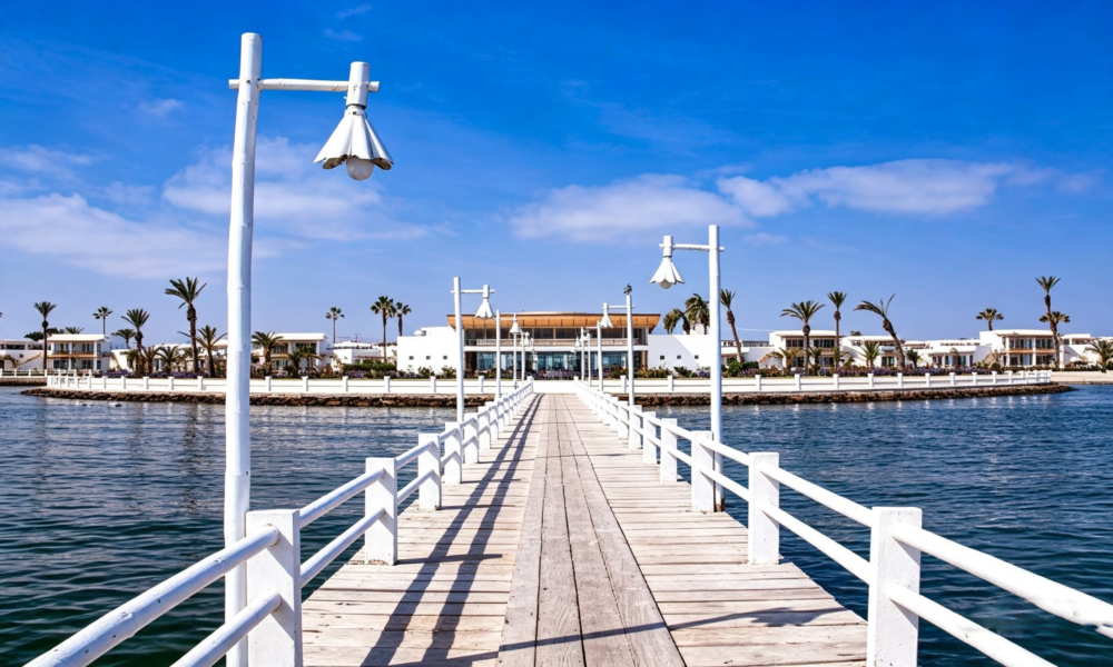 Passeio às Ilhas Ballestas + Reserva Nacional de Paracas