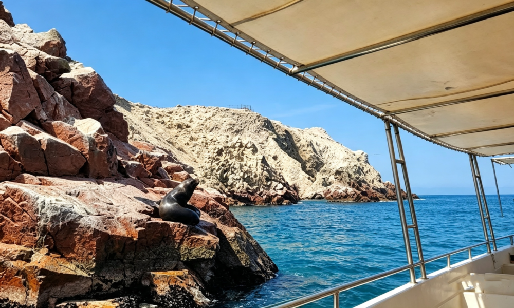Passeio às Ilhas Ballestas + Reserva Nacional de Paracas