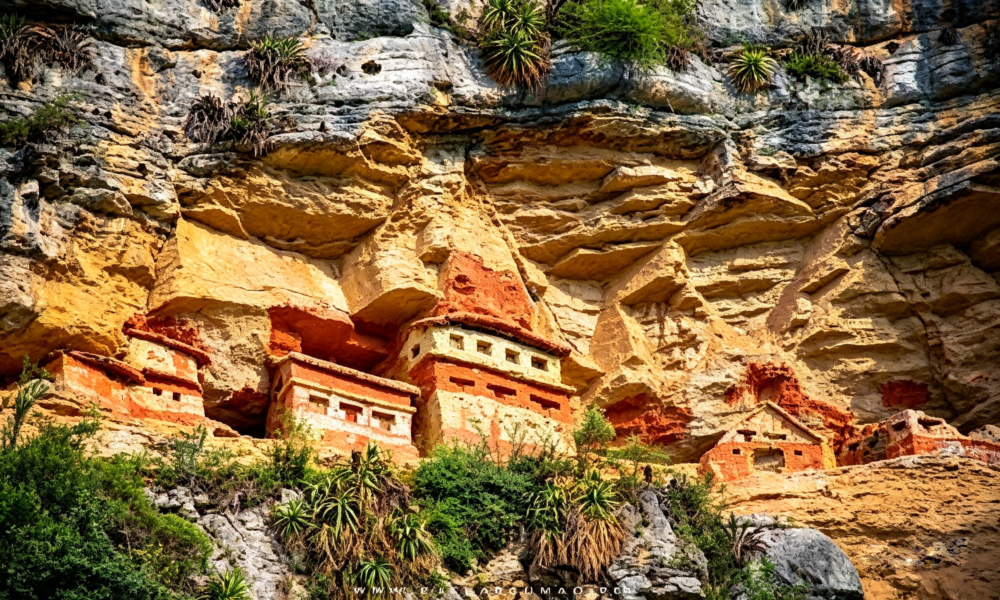 Tarapoto + Chachapoyas 9 Days/8 Nights | City of Orchids