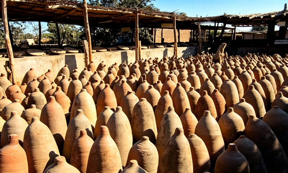 Ica Pisco Tour | Pisco and Wine Cellars | Tasting