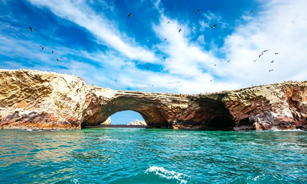 Full-Day Classic Paracas-Ica Tour | Private