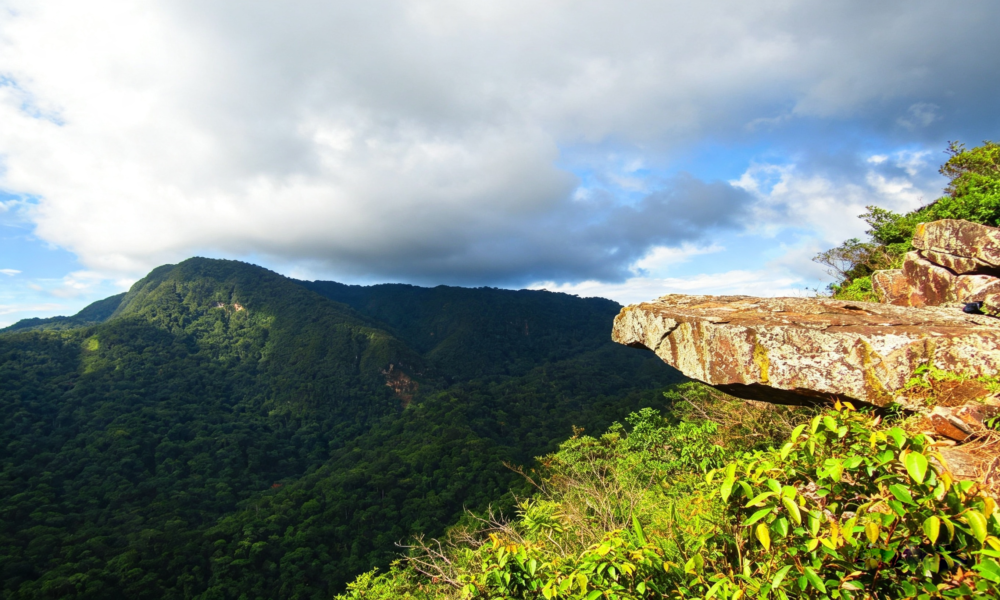 Excursão à Cachoeira Ahuashiyacu, Área de Conservação