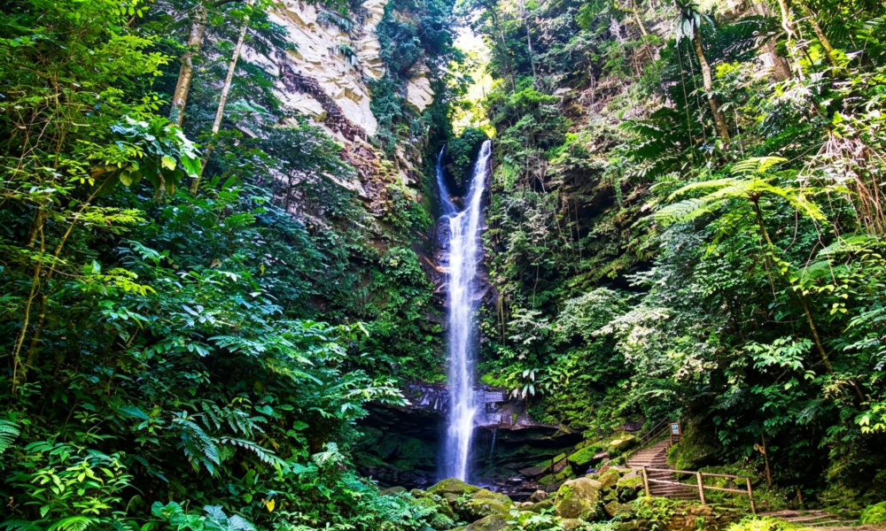 Salto de la Bruja Waterfall Tour | Traditional Lunch