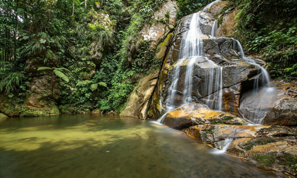 Salto de la Bruja Waterfall Tour | Traditional Lunch
