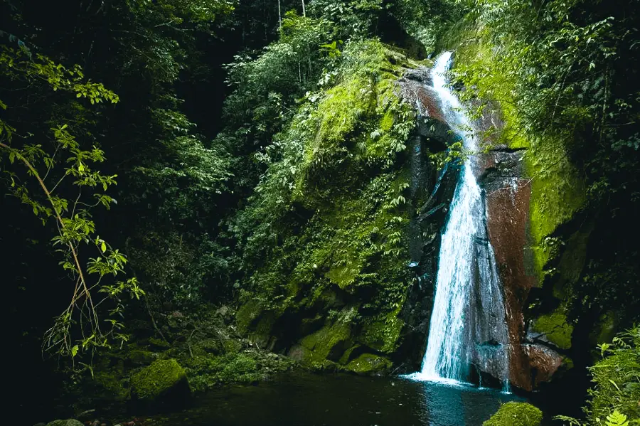 Trekking por el Alto Shilcayo | Catarata del Vestido de Novia