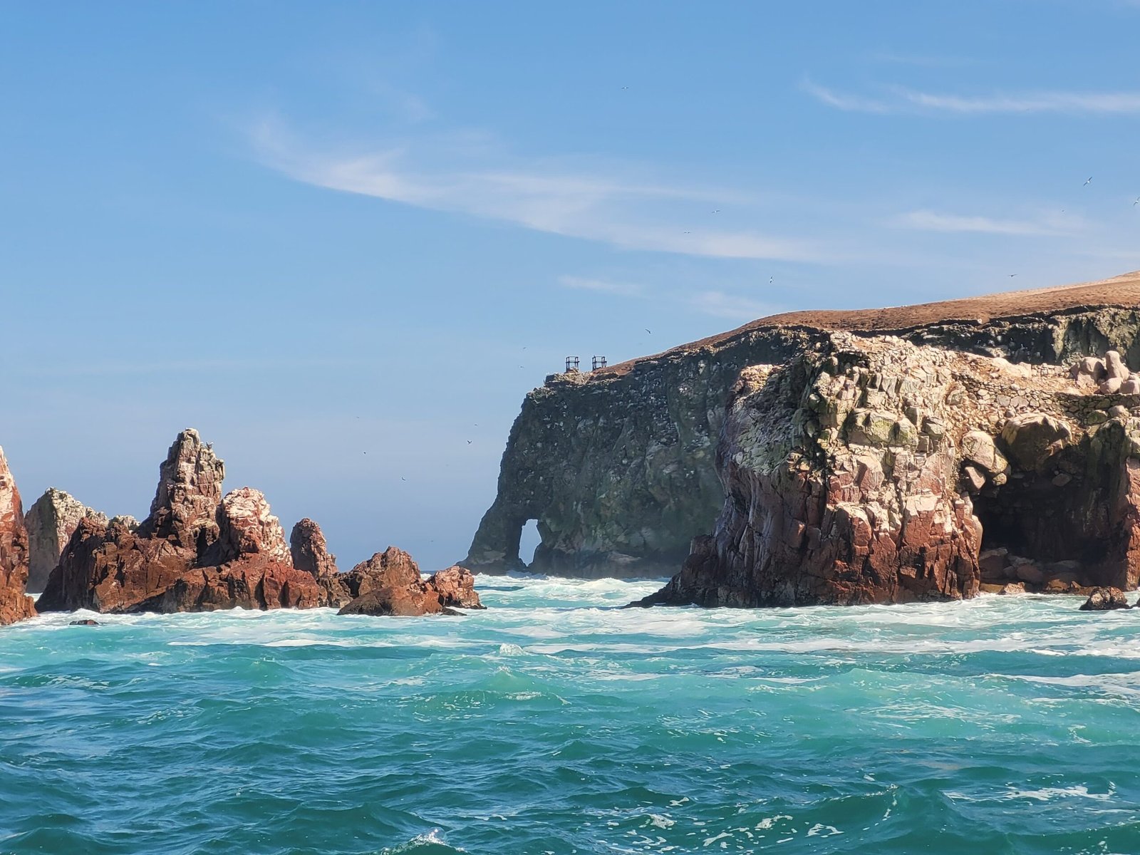 Tour Islas Ballestas + Reserva Nacional de Paracas
