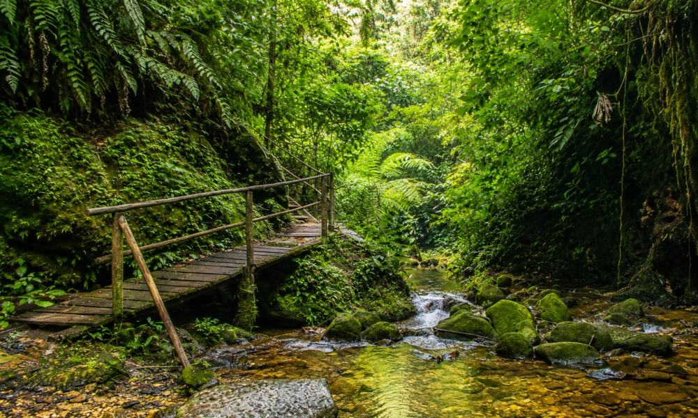Salto de la Bruja Waterfall Tour | Traditional Lunch