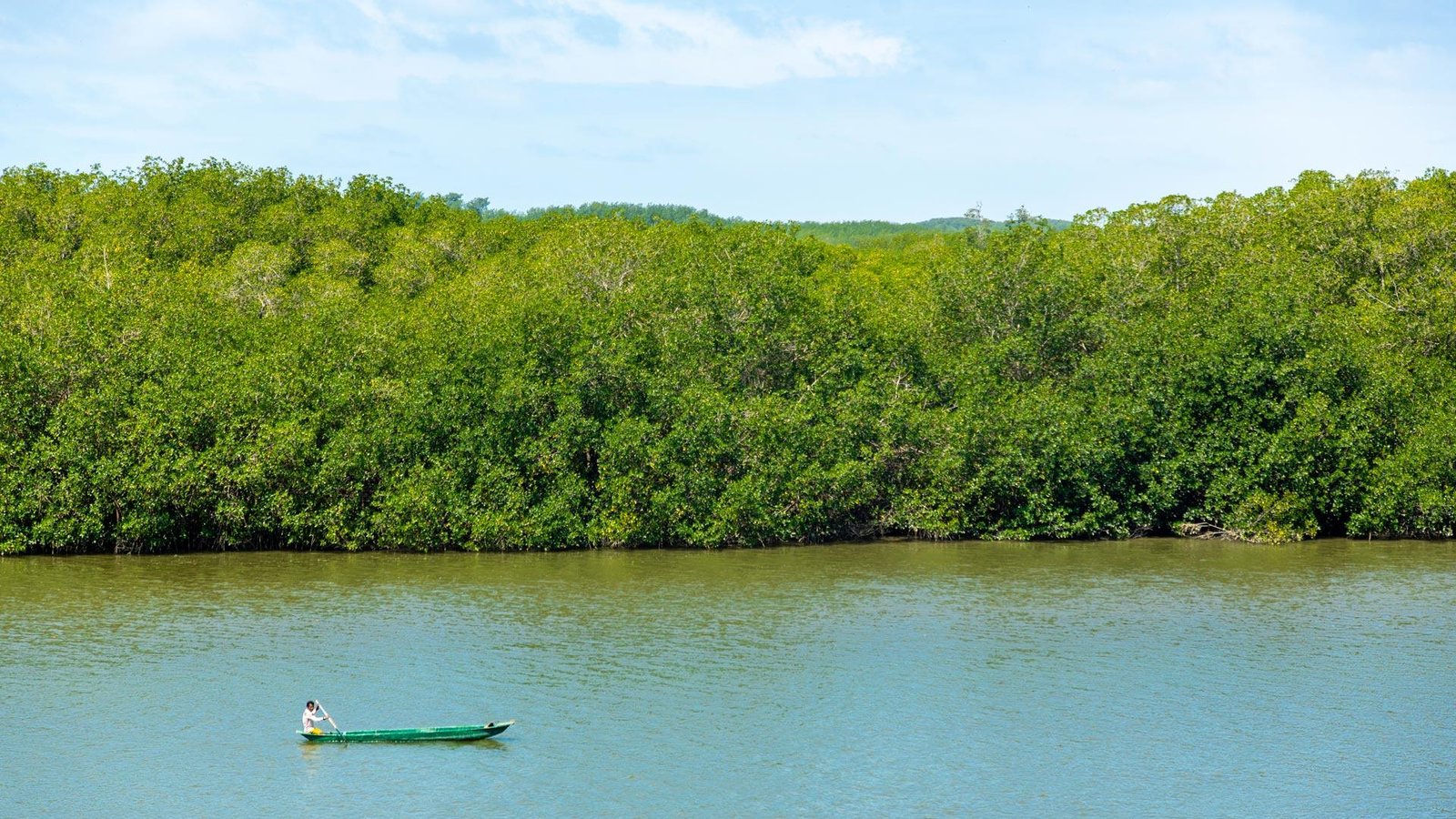 Santuario Nacional Los Manglares De Tumbes