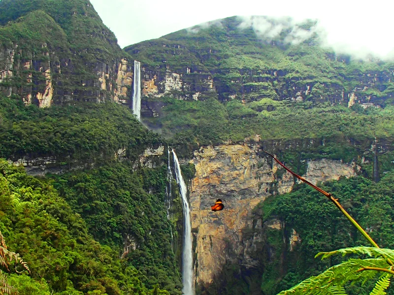 Tour por la Selva de Tarapoto + Chachapoyas | 6 días y 5 noches