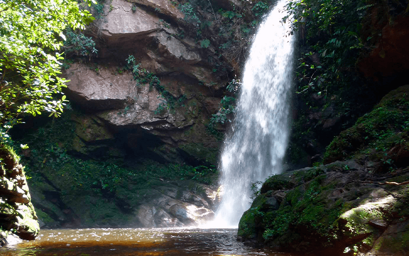 Tour catarata de Huacamaillo | Almuerzo tipo picnic | Tarapoto