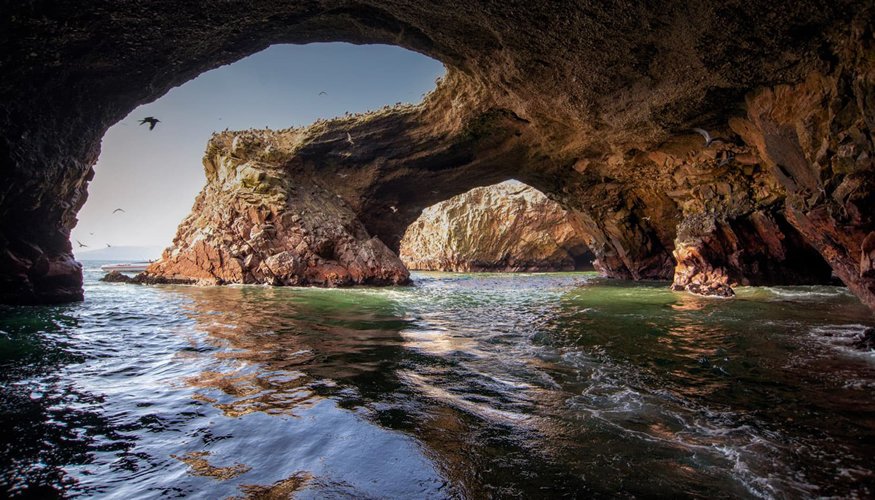 Full Day Paracas- Ica clásico | Privado