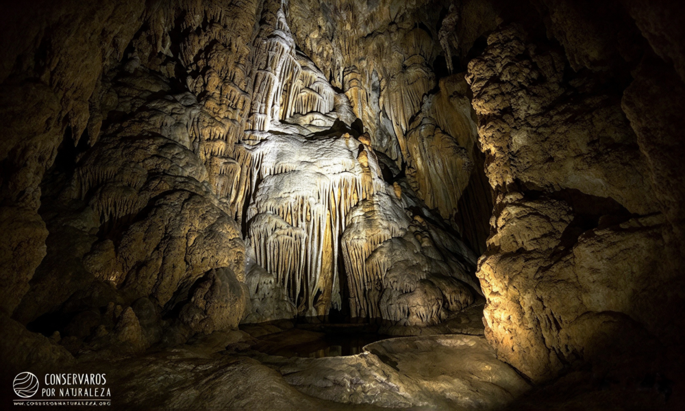Chachapoyas relax Full day | Termomedicinales de Tocuya