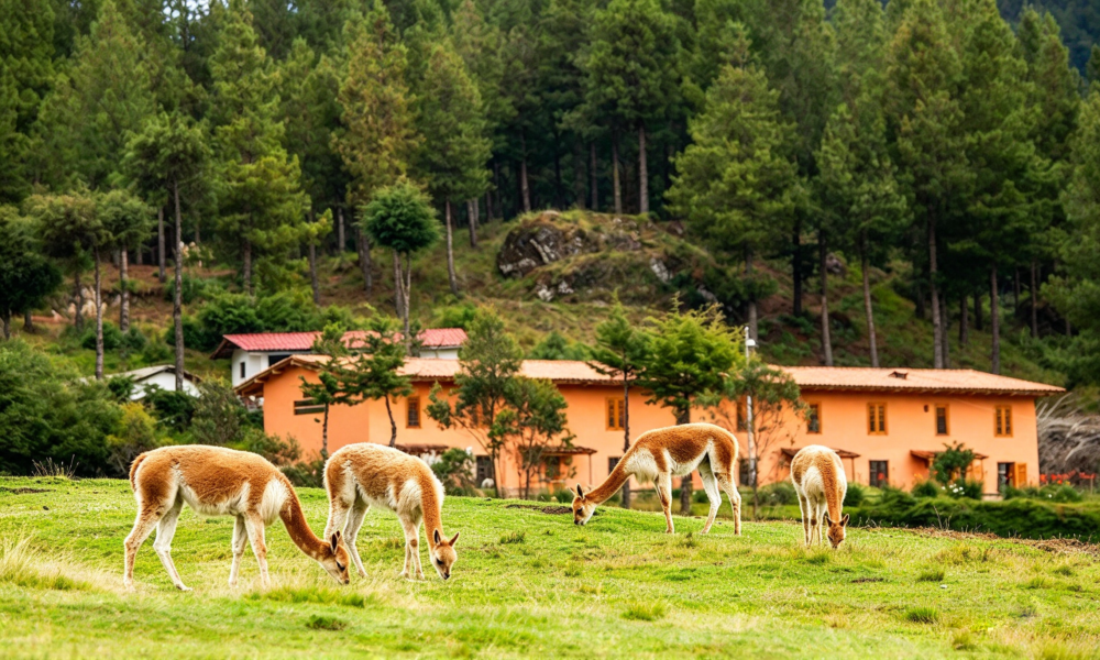 Cajamarca + Chachapoyas 7Días y 6Noches